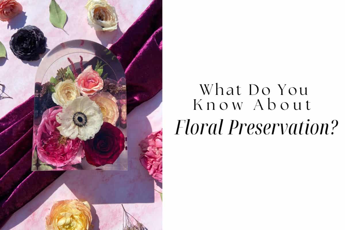 What Do You Know About Floral Preservation?